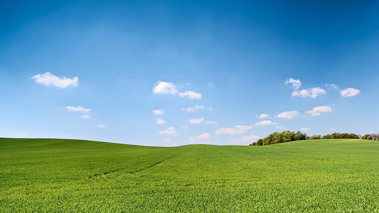 Natureleza con cielo azul y hierba verde