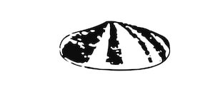 1900