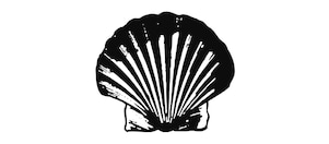 1909