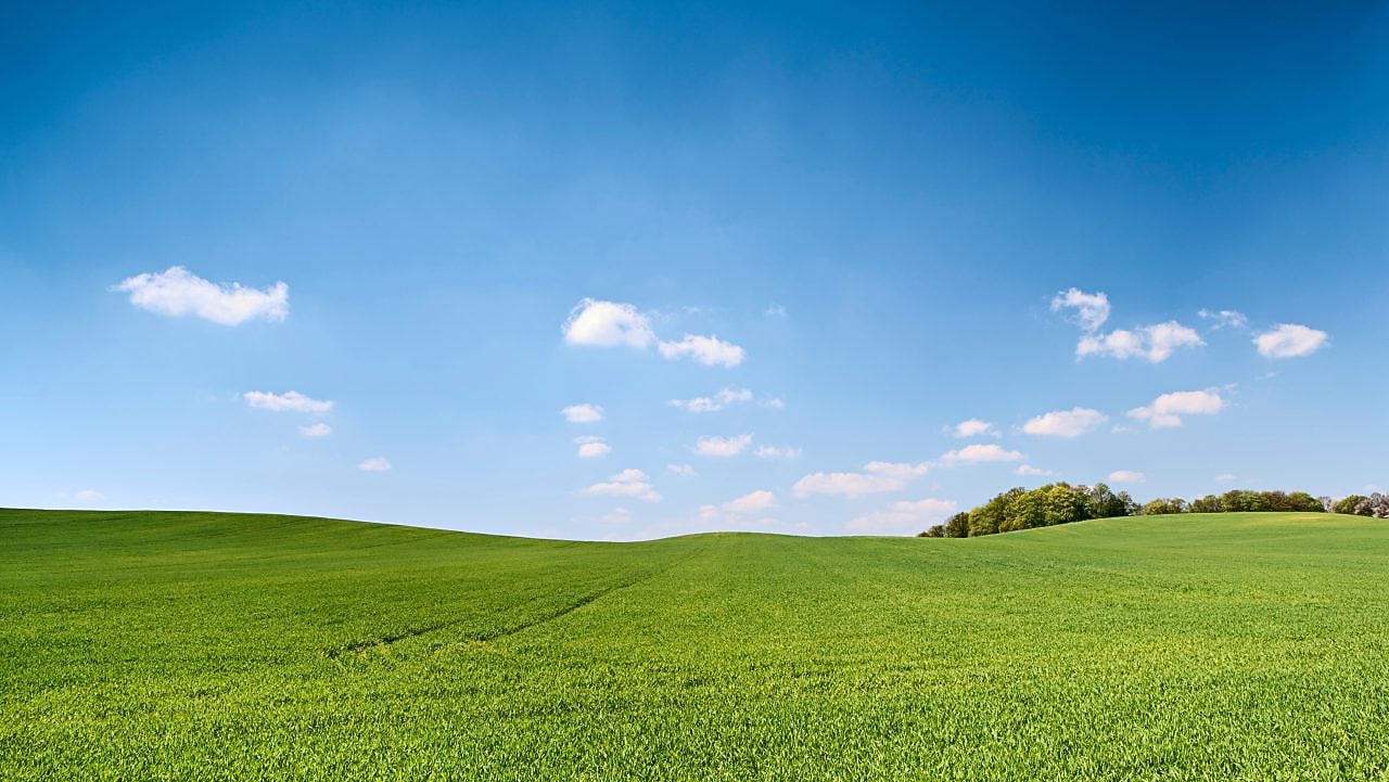 Natureleza con cielo azul y hierba verde