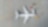 Aerial view of airplane and vans