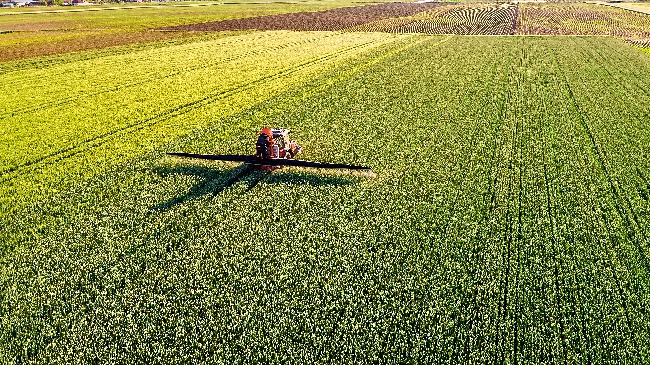 Cosechadora funcionando en campo plantado.
