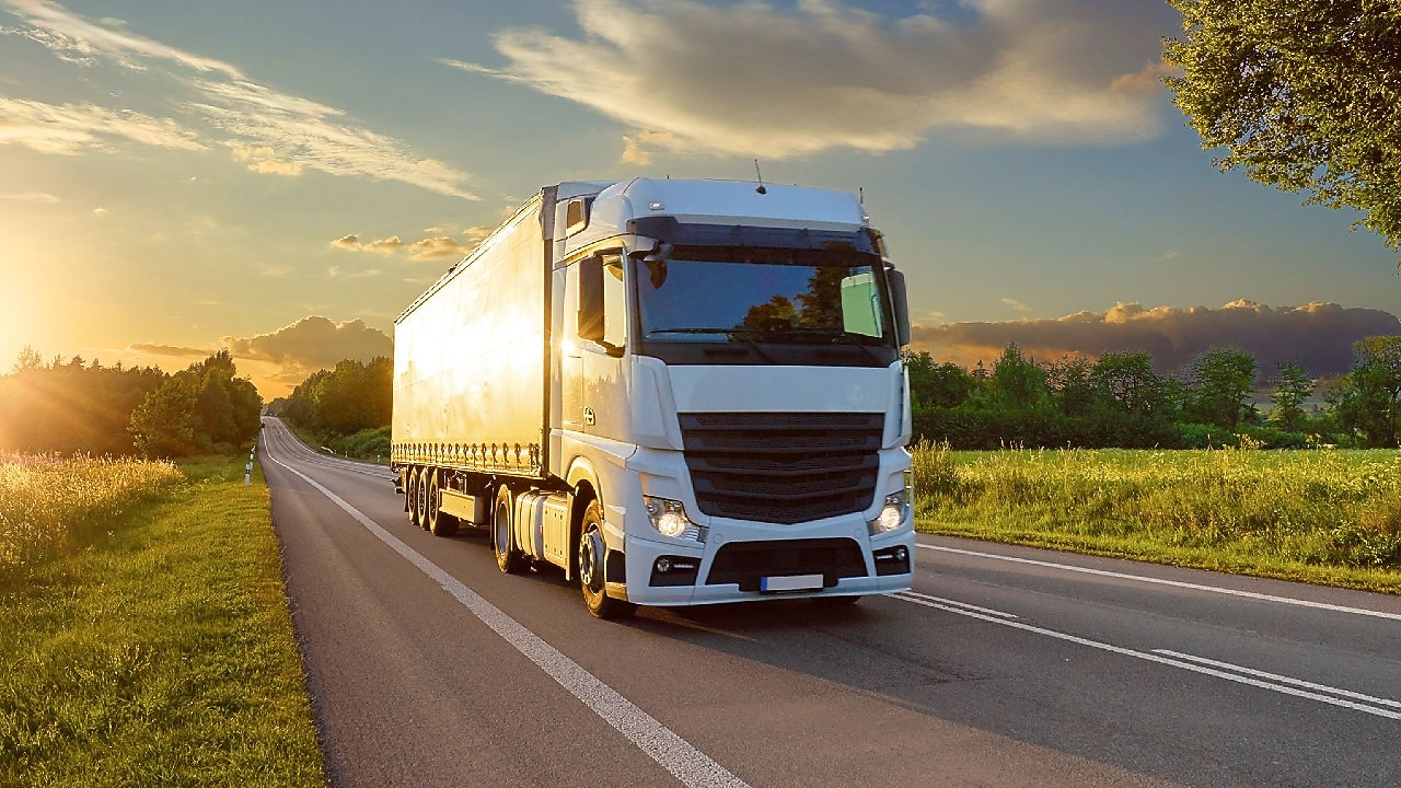camión blanco en la carretera