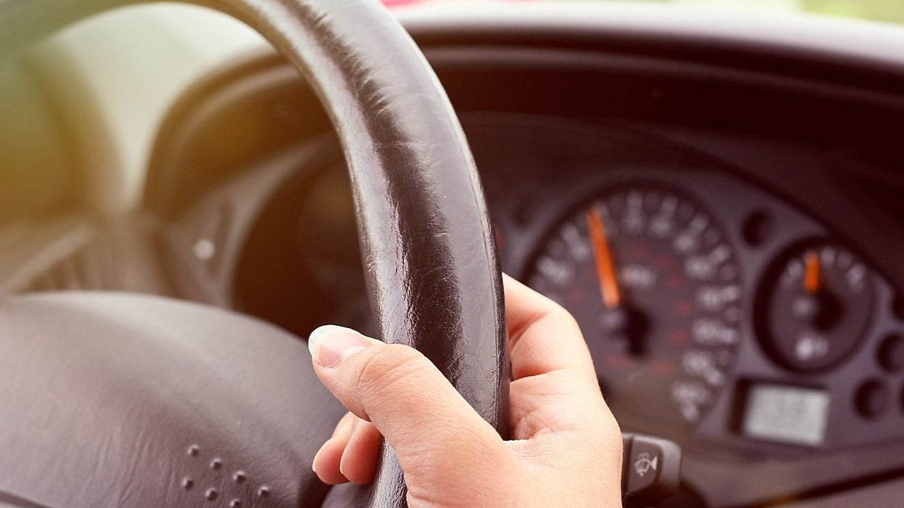 sugerencias para un manejo económico