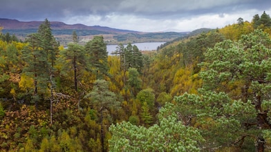 Nature Based Solution