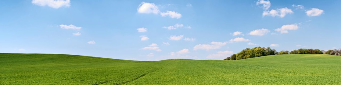Natureleza con cielo azul y hierba verde