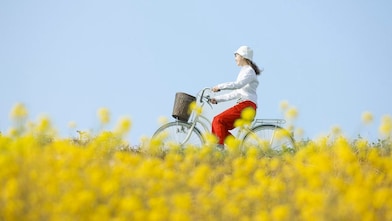 Una joven pasea en bicicleta por un campo lleno de flores en verano